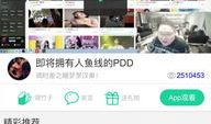 91直播app导航,畅游直播世界的便捷指南