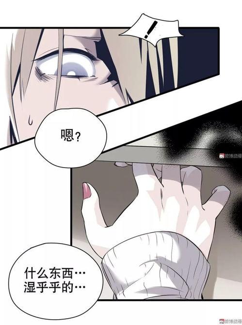 隐身漫画,揭秘神秘世界的奇幻之旅